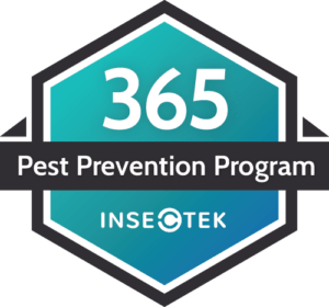 Pest Control Phoenix | Insectek Pest & Termite Solutions